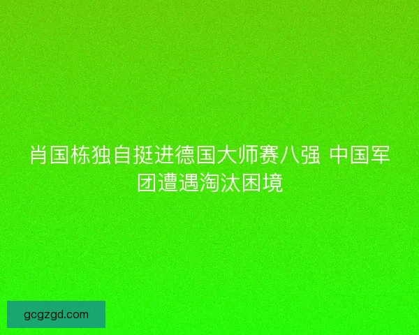 肖国栋独自挺进德国大师赛八强 中国军团遭遇淘汰困境