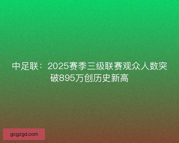 中足联：2025赛季三级联赛观众人数突破895万创历史新高